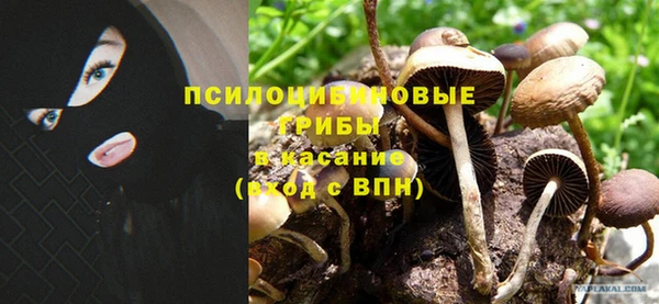 мет Алзамай